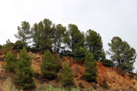Explotación de Arcilla. Cami de les Mines. Oliva. . Valencia