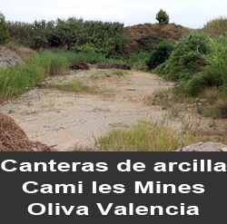 Explotación de Arcilla. Cami de les Mines. Oliva. Valencia
