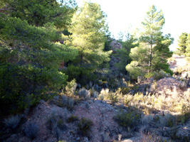 Cantera de Yeso. Cabezo de la Panadesa. Castalla. Alicante    