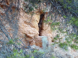 Cantera de Yeso. Cabezo de la Panadesa. Castalla. Alicante    