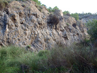 Cantera de Yesos la Escotera. Benejuzar. Alicante