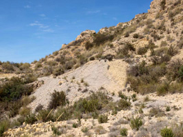 Mina Pepita. Sierra de las Aguilas. La Alcoraia. Alicante.  