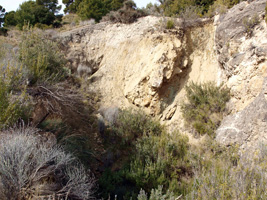 Mina Tobillo. Petrer. Alicante 