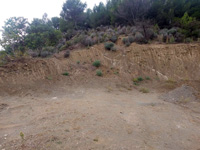 Yacimiento de Doleritas. Altura, Castellón 