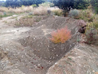 Yacimiento de Doleritas. Altura, Castellón 