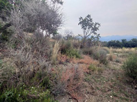 Yacimiento de Doleritas. Altura, Castellón 