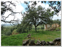 Mina La Herrería - Burguillos del Cerro - Badajoz