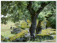 Mina La Herrería - Burguillos del Cerro - Badajoz