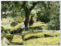 Mina La Herrería - Burguillos del Cerro - Badajoz