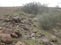 Mina Novísimo San Fernando, Cortijo Traslasierra, Oliva de Mérida, Comarca Tierra de Mérida-Vegas Bajas. Badajoz