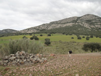 Mina Novísimo San Fernando, Cortijo Traslasierra, Oliva de Mérida, Comarca Tierra de Mérida-Vegas Bajas. Badajoz