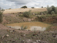 Mina Novísimo San Fernando, Cortijo Traslasierra, Oliva de Mérida, Comarca Tierra de Mérida-Vegas Bajas. Badajoz