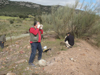 Mina Novísimo San Fernando, Cortijo Traslasierra, Oliva de Mérida, Comarca Tierra de Mérida-Vegas Bajas. Badajoz