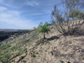 Cerro Almodova. Madrid  