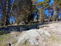  Afloramiento de Calcedonias. Cerro de los Ángeles. Getafe, Madrid