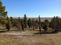  Afloramiento de Calcedonias. Cerro de los Ángeles. Getafe, Madrid