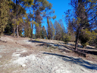  Afloramiento de Calcedonias. Cerro de los Ángeles. Getafe, Madrid