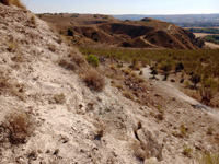 Cerro La Tarta, Rivas-Vaciamadrid, Comarca Área metropolitana de Madrid, Comunidad de Madrid