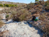 Cerro La Tarta, Rivas-Vaciamadrid, Comarca Área metropolitana de Madrid, Comunidad de Madrid