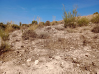 Cerro La Tarta, Rivas-Vaciamadrid, Comarca Área metropolitana de Madrid, Comunidad de Madrid