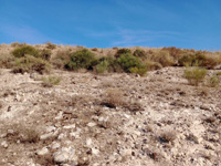 Cerro La Tarta, Rivas-Vaciamadrid, Comarca Área metropolitana de Madrid, Comunidad de Madrid