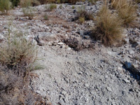 Cerro La Tarta, Rivas-Vaciamadrid, Comarca Área metropolitana de Madrid, Comunidad de Madrid