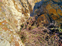 Mina la perla,Montejo de la sierra, Madrid