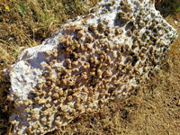 Skarn de Somosierra, Cuesta Molino, Somosierra, Comarca Sierra Norte de Madrid, Madrid
