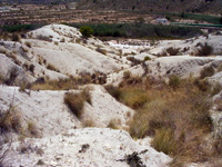 Barranco del Mulo. Ulea. Murcia.