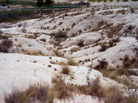 Barranco del Mulo. Ulea. Murcia.