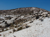 Barranco del Mulo. Ulea. Murcia.