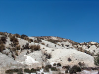 Barranco del Mulo. Ulea. Murcia.  