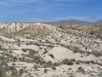 Barranco del Mulo. Ulea. Murcia.