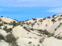 Barranco del Mulo. Ulea. Murcia.