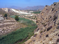 Barranco del Mulo. Ulea. Murcia.