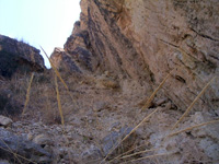 Barranco del Mulo. Ulea. Murcia.