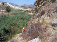 Barranco del Mulo. Ulea. Murcia.