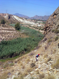 Barranco del Mulo. Ulea. Murcia.  