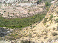 Barranco del Mulo. Ulea. Murcia. 