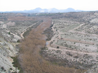 Barranco del Mulo. Ulea. Murcia. 