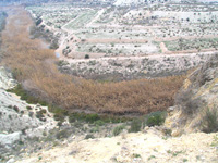 Barranco del Mulo. Ulea. Murcia.