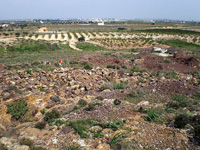 Mina Carlota. Cehegín. Murcia