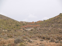 Cantera los Egea. Almendricos. Lorca. Murcia