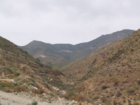 Cantera los Egea. Almendricos. Lorca. Murcia