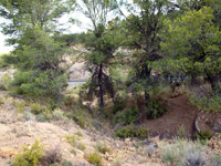 Paraje la Javalina.  Cehegín. Murcia