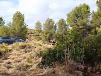 Paraje la Javalina.  Cehegín. Murcia