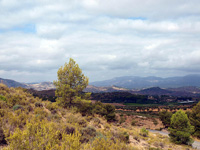 Paraje la Javalina.  Cehegín. Murcia