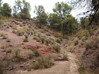 Paraje la Javalina.  Cehegín. Murcia