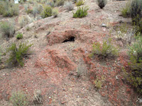 Paraje la Javalina.  Cehegín. MurciaCuarzo y Pistacita xx de 2 cm Albatera  