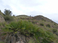 Mina Permuta (Obdulia), Cabezo del Laberinto, Rambla del Avenque, Sierra Minera Cartagena la Unión